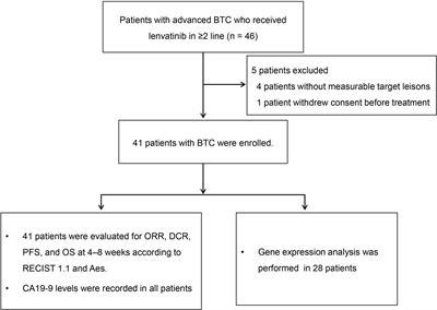 Lenvatinib Beyond First-Line Therapy in Patients With Advanced Biliary Tract Carcinoma